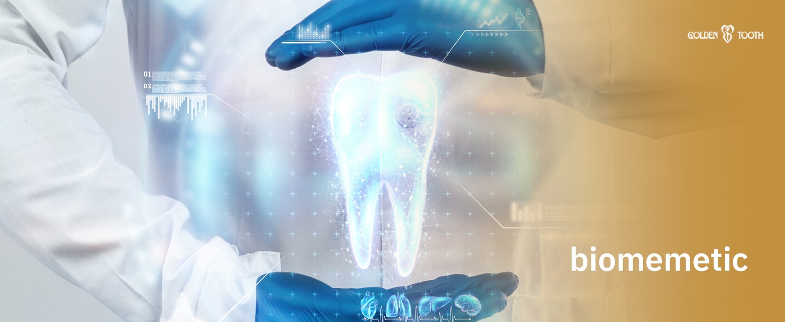 biomemetic